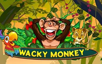 Wacky Monkey